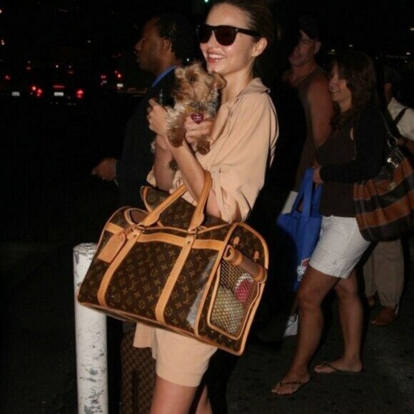 Louis Vuitton Sac Chien 40 Dog Carrier Monogram Pet Travel Bag Purse - Picture 2 of 10